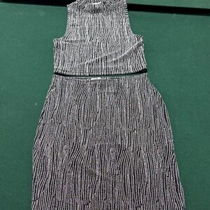 Elegant Black and Silver Shimmery Striped Dress